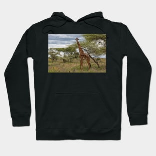 Masai Giraffe Hoodie